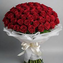 Букет 101 Красная роза Блэк Мэджик в Гдове