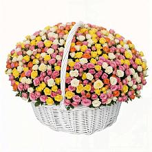 Премиум букет из: Розы в Гдове