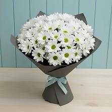 Букет цветов из:  Хризантемы в Гдове