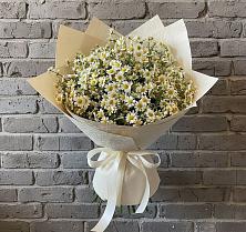 Букет цветов из:  Ромашки #REPLACE_PRED# Гдове