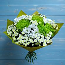 Букет цветов из:  Хризантемы в Гдове