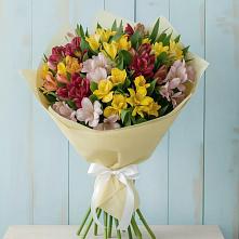 Букет цветов из:  Альстромерии в Гдове
