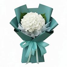 Букет цветов из:  Гортензия #REPLACE_PRED# Гдове